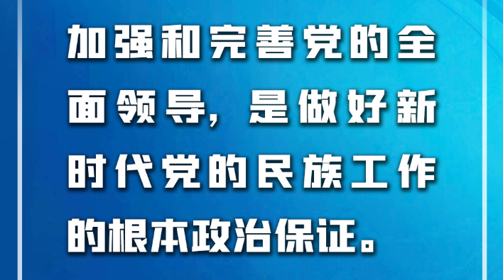 金句来了！习近平：推动新时代党的民族工作高质量发展