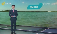 《山东新闻联播》重稿关注 淄博加大河湖整治让碧水长流