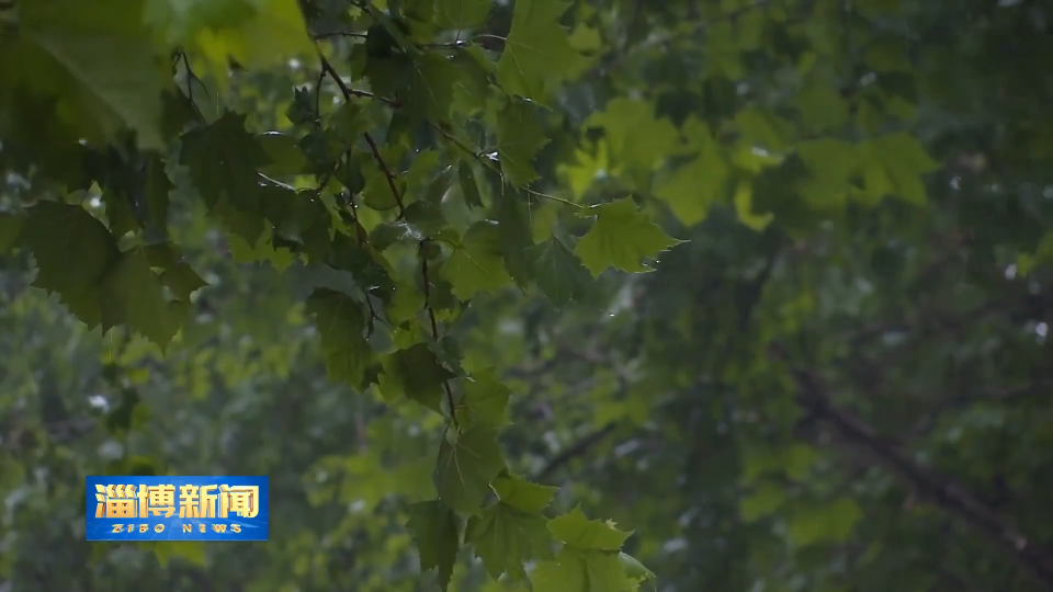 全市降雨量超常年 河道水库运行平稳