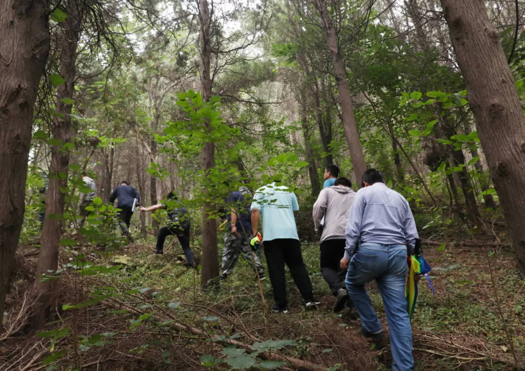 国家林草局林产工业规划设计院到原山实地核查森林和草原火灾风险普查成果外业质量