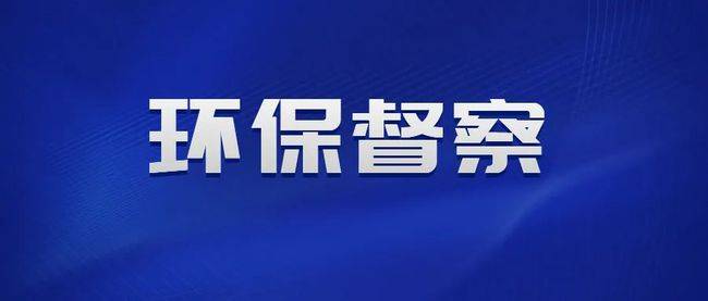 中央第二生态环境保护督察组转办信访举报件办理情况涉及淄博市情况（第十七批）