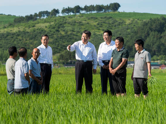 把解决好“三农”问题作为重中之重 ——习近平总书记领航农业农村高质量发展