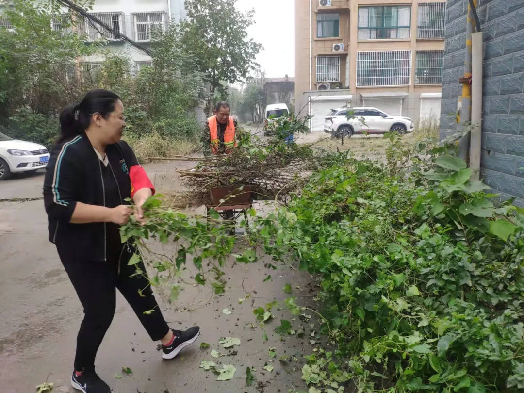 【幸福淄川】寨里镇：合力攻坚打造美丽宜居环境