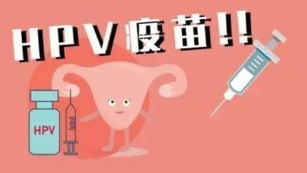 11月15日9点！淄博再次开放四价、九价HPV疫苗线上预约