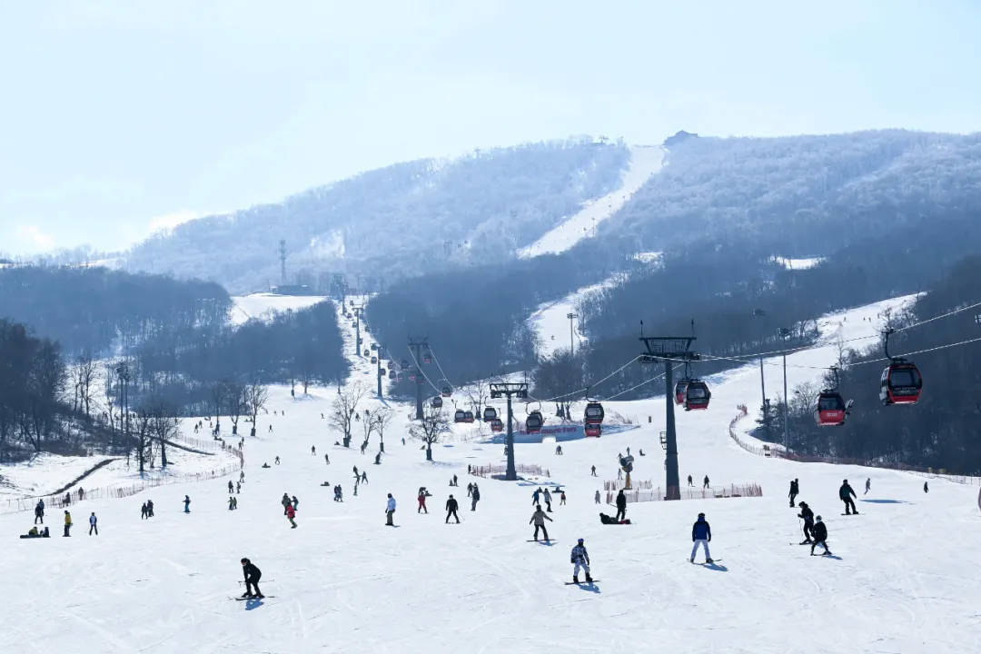 千载难逢的“冬奥奇缘”——冰雪旅游城市今冬雪季期待更多