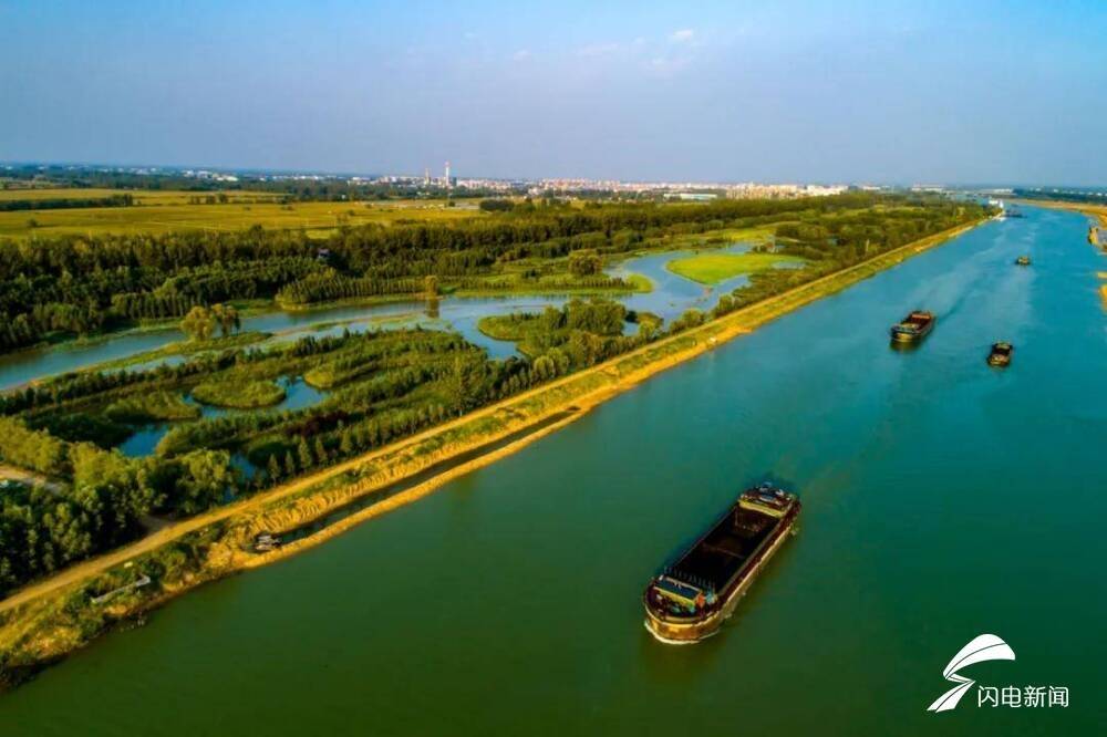 【千问千寻大运河】鱼鸭成群，白鹭齐飞！台儿庄运河湿地公园描绘绿色生态新画卷