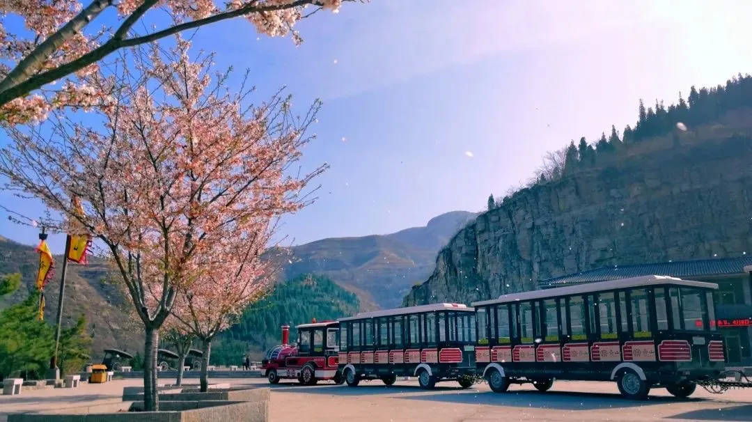 淄川6家景区助力“齐惠游”旅游年卡取得首年开门红！