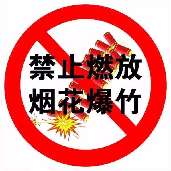 淄博市生态环境局倡议：禁放烟花爆竹 共同守护“淄博蓝”