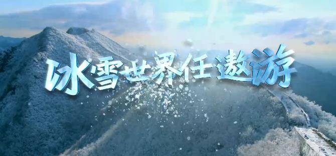 学习正当时丨冰雪世界任遨游