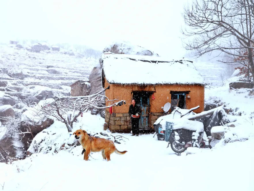 “聚焦冰雪季，喜迎冬奥会”线上摄影作品联展（二）