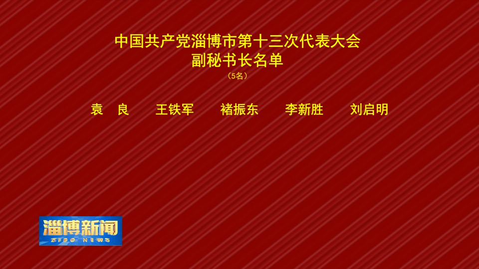 中国共产党淄博市第十三次代表大会 副秘书长名单