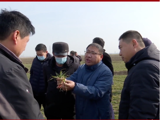 【学习贯彻市第十三次党代会精神】市党代表王锡久：为民服务  把专业课堂开设在田间地头