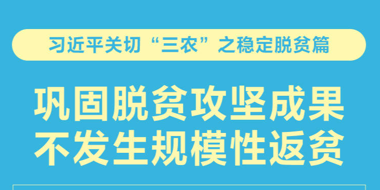 习近平关切“三农”之稳定脱贫篇 巩固脱贫攻坚成果 不发生规模性返贫