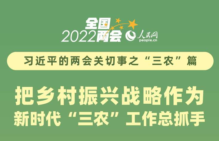 把乡村振兴战略作为新时代“三农”工作总抓手