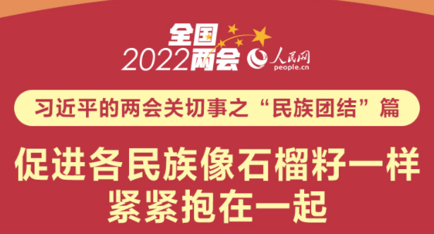 习近平的两会关切事之“民族团结”篇促进各民族像石榴籽一样紧紧抱在一起