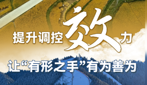 聚焦于“效”，启迪“政府与市场”相处之道的经济学——习近平经济思想的世界启示述评之三