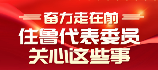 直通两会｜奋力“走在前”，代表委员和权威专家话山东