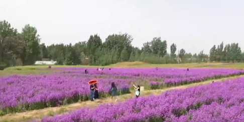 齐鲁潮评丨未来就在眼前，共赴美好春天