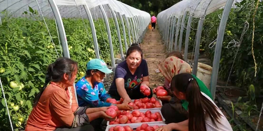 【我向总书记“晒”家常】电话越是忙线 我越感觉踏实