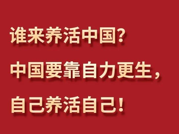 习言道丨习近平为何再答“谁来养活中国”？