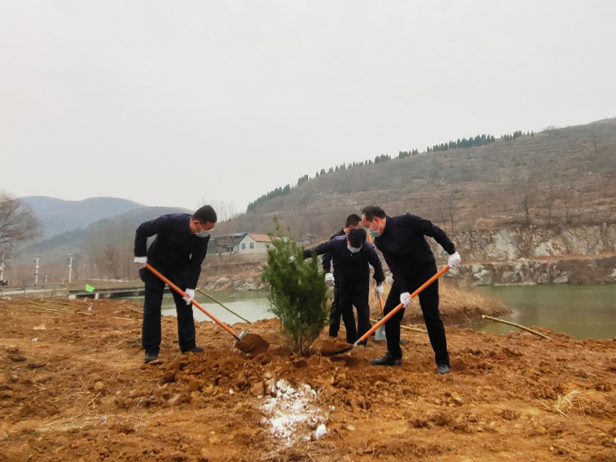 博山区大班子领导带头参加义务植树活动