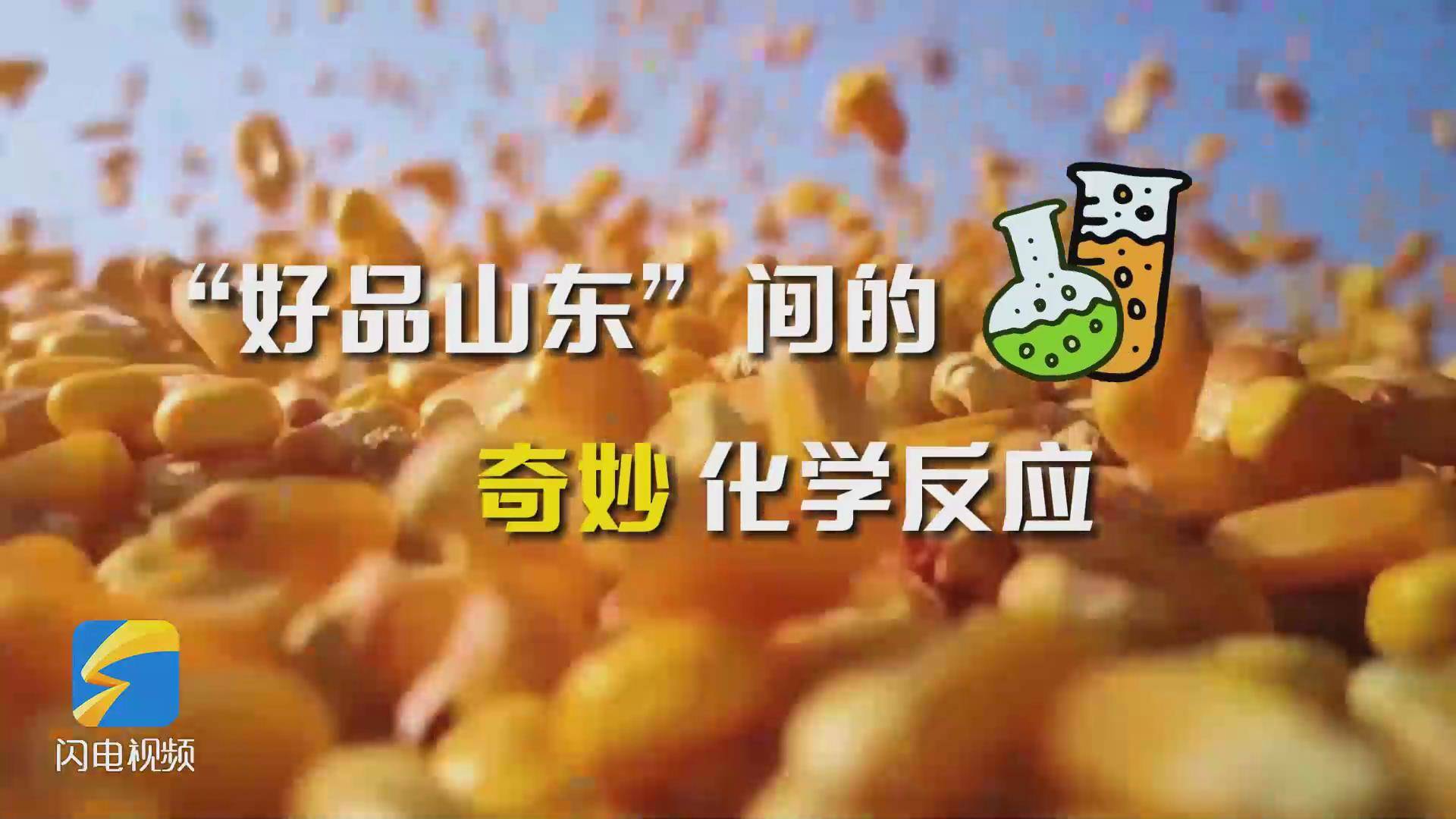 “好品山东”间的奇妙“化学反应”，想不到吧！