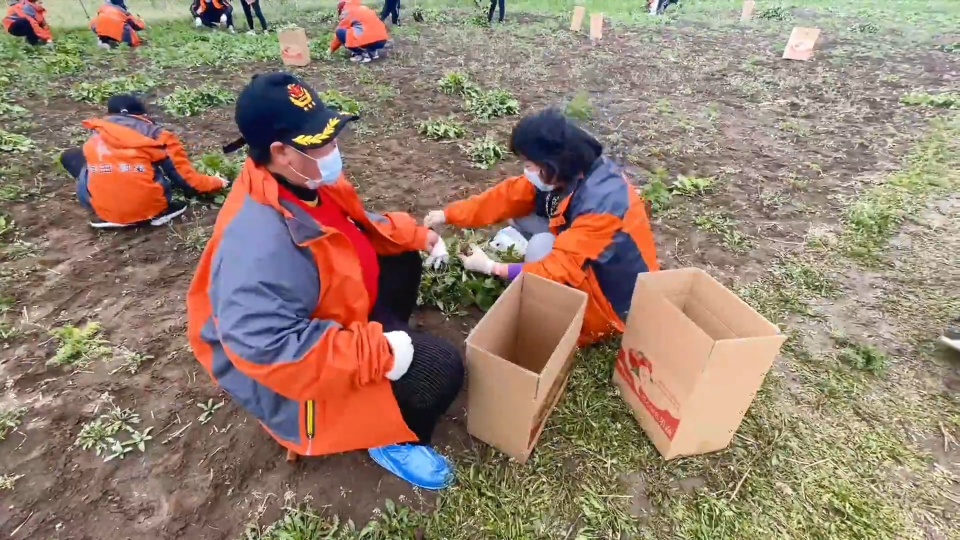 世界自闭症日：“星星的孩子”进菜园 体验收获