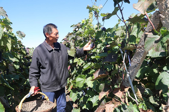 “马鞍山村发生了翻天覆地的变化，我们现在生活得很好、很幸福！”