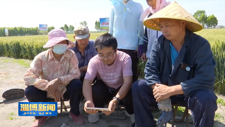 【聚焦省第十二次党代会】省第十二次党代会报告在淄博社会各界引发热烈反响