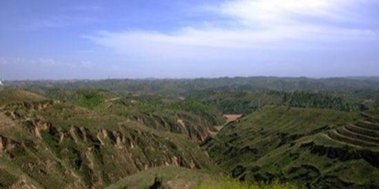 看中国·千家万户的事 陕西绥德郝家桥村：“红色山村”处处好光景