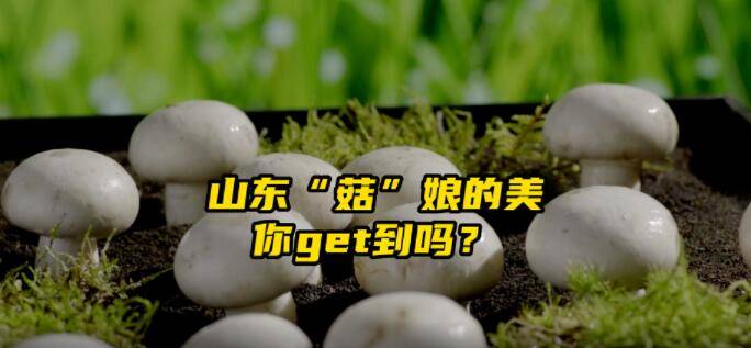 好品山东丨山东“菇”娘，“木”你不行！菌菇的美，你get到吗？