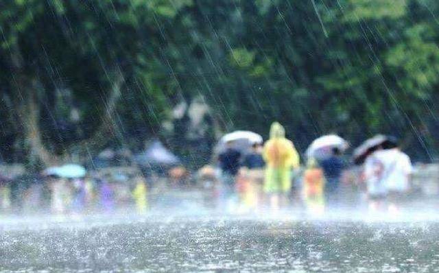 台风来袭！暴雨预警继续！淄博会受到影响吗？