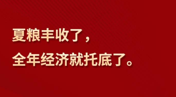 习言道｜“夏粮丰收了，全年经济就托底了”