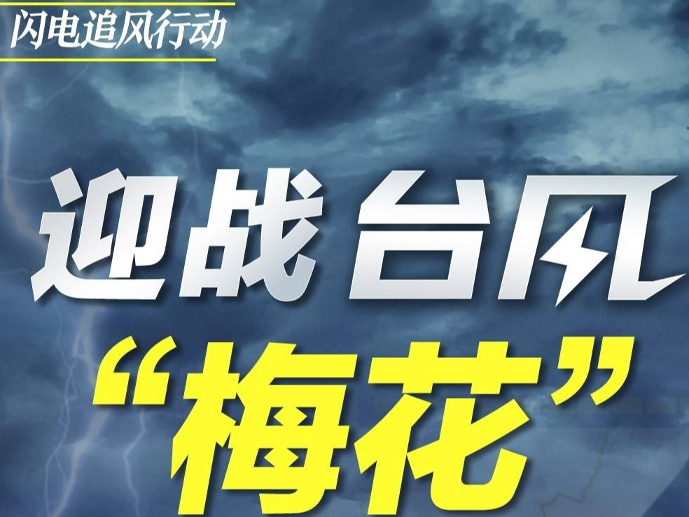 【应急科普】动画丨台风暴雨来临前后如何应对？这份防御指南教你安全避险