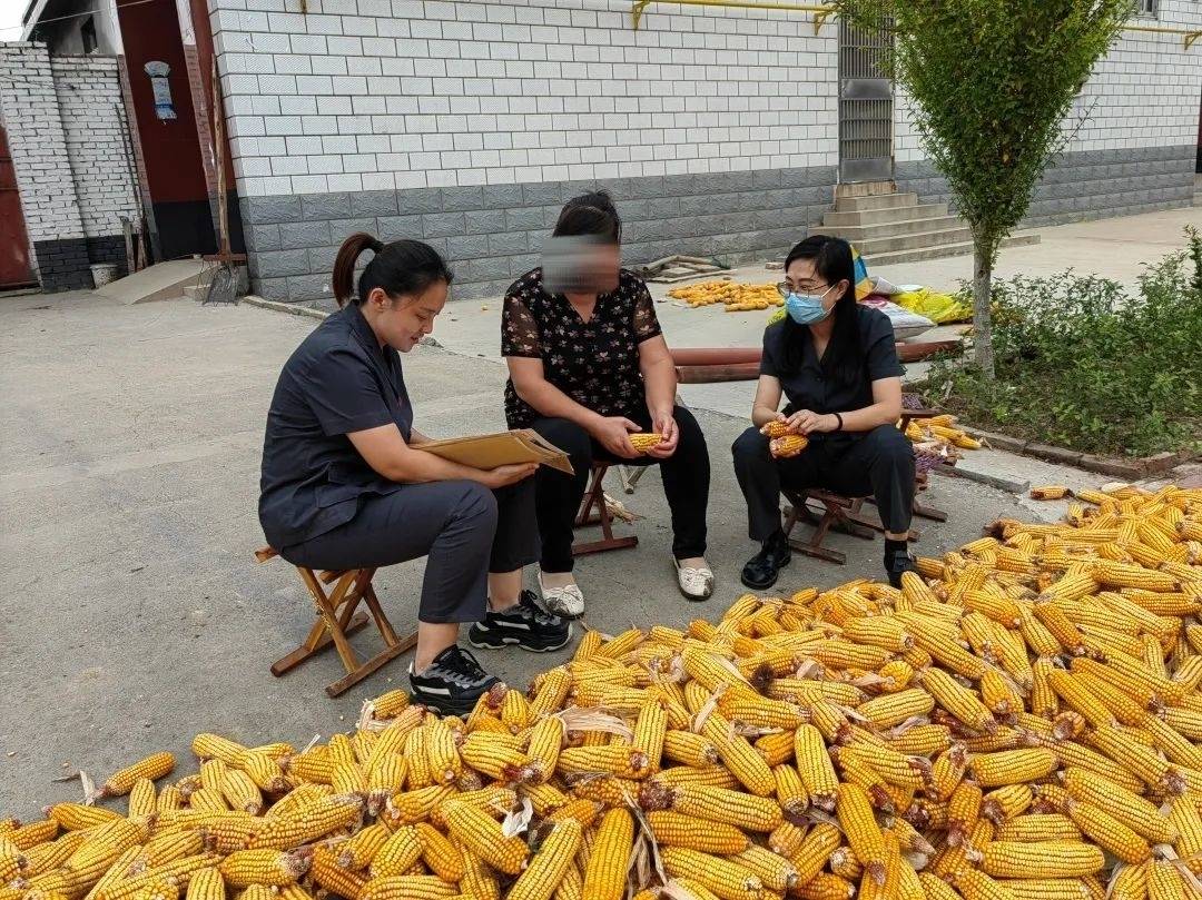 桓台马桥法庭进村入户解民忧