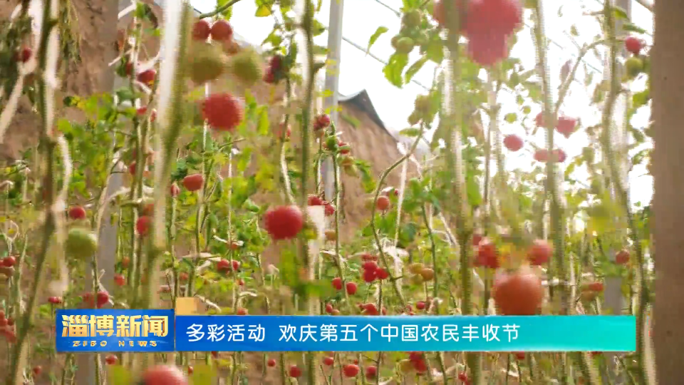 【淄博新闻】【权威发布】多彩活动 欢庆第五个中国农民丰收节
