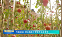 【淄博新闻】【权威发布】多彩活动 欢庆第五个中国农民丰收节