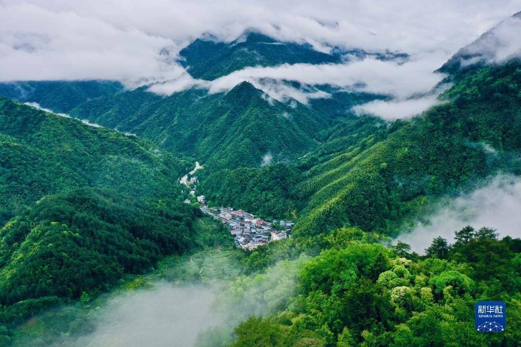 领航中国丨建设天蓝地绿水清的美丽家园——党的十八大以来推进生态文明建设述评