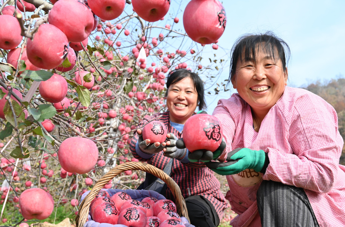 舌尖上“鲜”味来了！请品尝丰收节里的山东好品