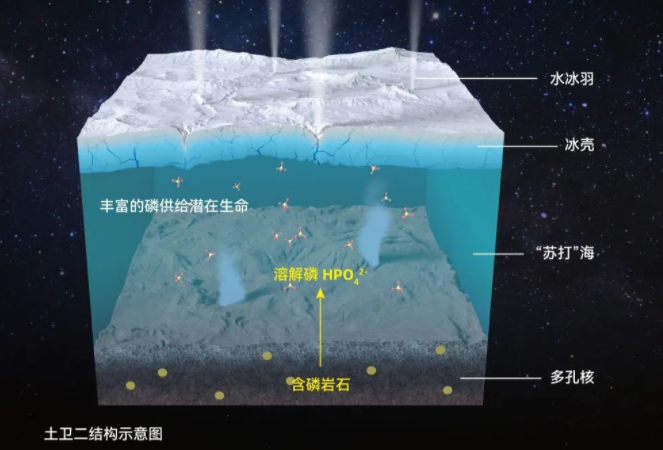 我国科学家发现：土卫二可能存在“生命之磷”！