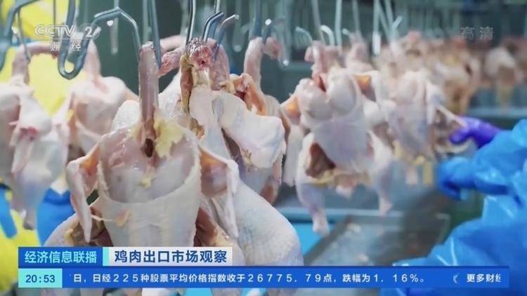 猛增超53%！今年前8个月，山东鸡肉产品出口额达38.6亿元！
