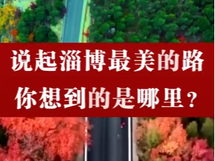 淄博最美道路盘点！你都走过吗？