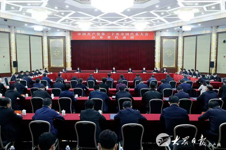 山东省代表团举行总结会议 深入学习宣传贯彻好党的二十大精神