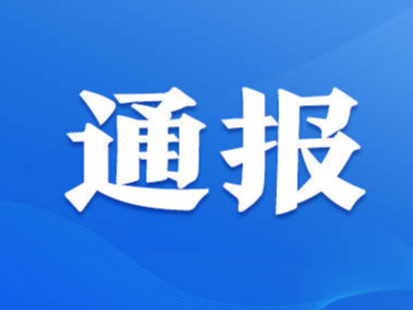 张店13家培训机构被通报！地址→