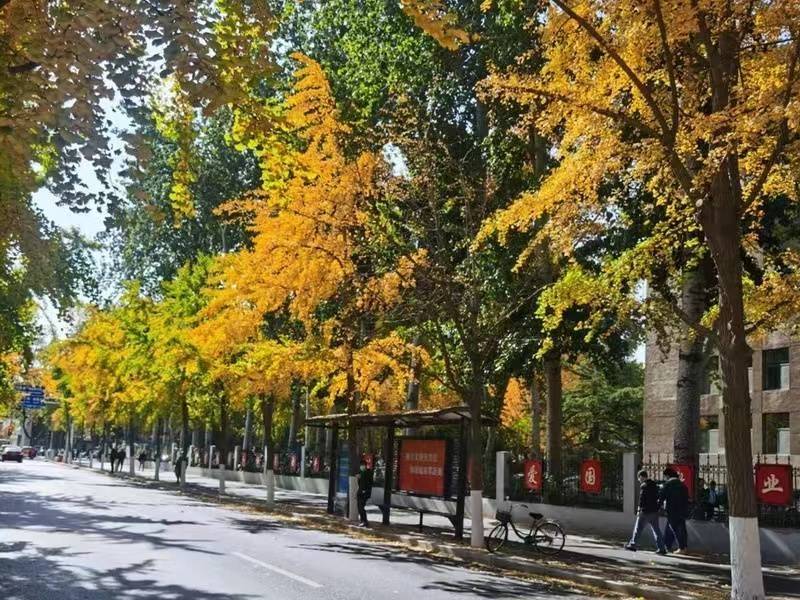 张店交警整治市府东一街违停保障“最美”街景