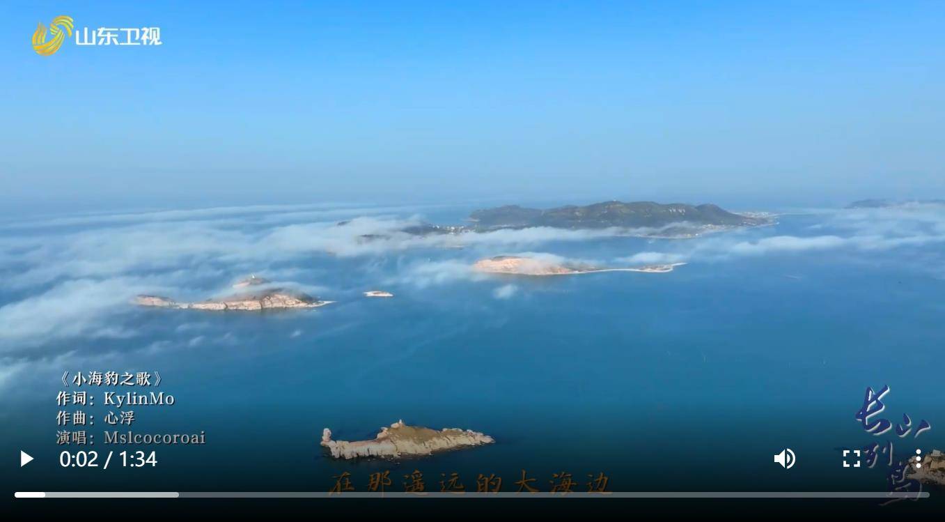 什么？山东竟然有海豹！？ 海豹来自太平洋？ 是的！软萌海豹旅行团就在山东长岛！