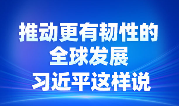 推动更有韧性的全球发展 习近平这样说