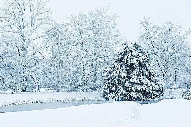 冷҈冷҈冷҈~雪来了！淄博发布强寒潮天气预报！