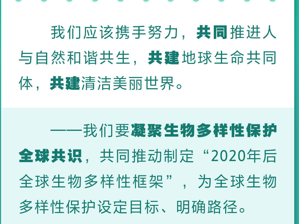 书写人与自然和谐共生的美好画卷 习近平强调生物多样性保护要点