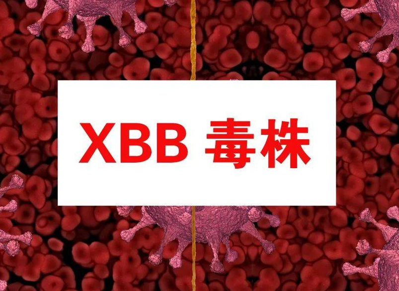 中疾控：短期内XBB.1.5变异株在我国引发大规模流行的可能性极低